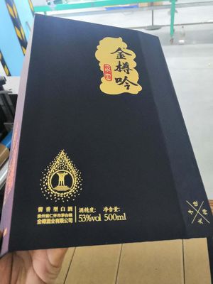 Automatischer Fall W3182XH2117mm, der die Telefonabdeckung der Maschinen-gebundenen Ausgabe herstellt Maschine herstellt